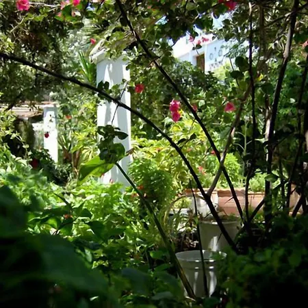Pinelopi Aparthotel 3*
