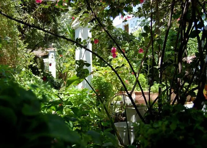 Pinelopi Lejlighedshotel 3*